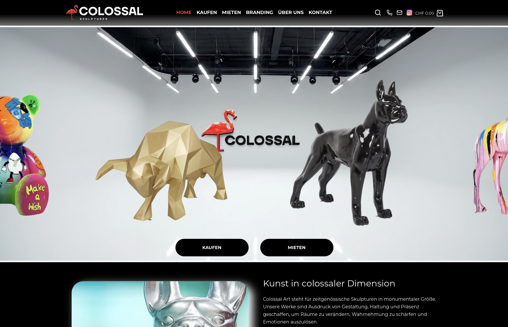Screenshot von der Webseite eines Kundenprojektes Colossal Art als Referenz